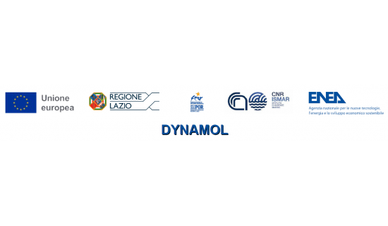 logo del  progetto DYNAMOL
