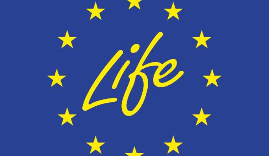 Logo ufficiale programma LIFE