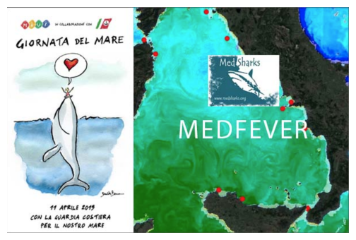 Immagine progetto MedFever e Giornata Nazionale del mare 11 aprile