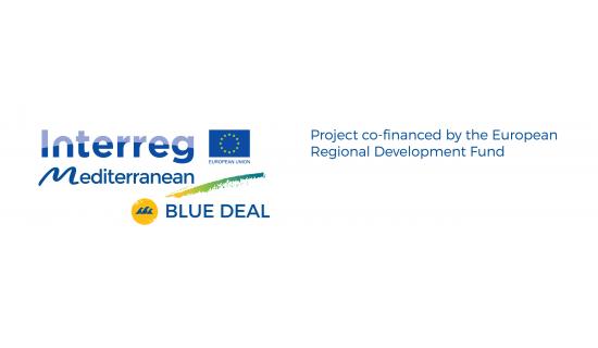 this is the logo of BlueDeal 
